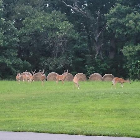 فندق Deer Run Estate Llc Marshfield المظهر الخارجي الصورة