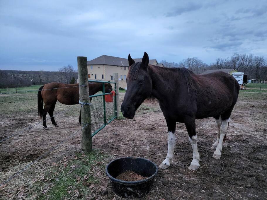 فندق Deer Run Estate Llc Marshfield المظهر الخارجي الصورة